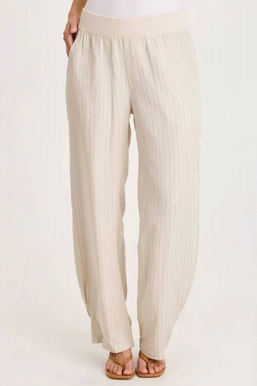 NEW XCVI carell pinstripe pleated leg pant in sonic silver